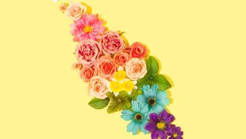 Обои желтый, фон, букет, yellow, background, bouquet разрешение 2560x1600 Загрузить