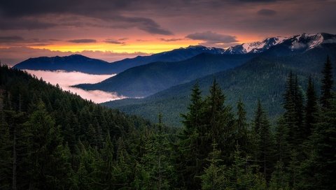 Обои вечер, горы, лес, закат, туман, склоны, ели, the evening, mountains, forest, sunset, fog, the slopes, ate разрешение 2048x1365 Загрузить