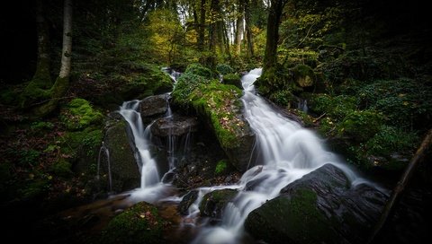 Обои вода, камни, лес, водопад, поток, темный фон, water, stones, forest, waterfall, stream, the dark background разрешение 3840x2160 Загрузить