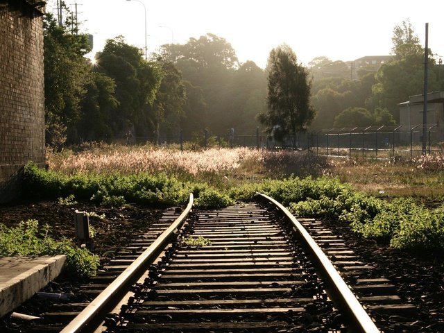 Обои цветы, трава, деревья, железная дорога, рельсы, постройки, flowers, grass, trees, railroad, rails, buildings разрешение 1920x1200 Загрузить