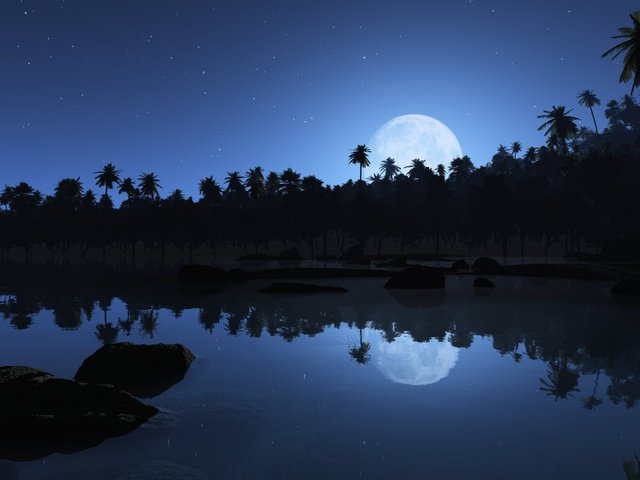 Обои отражения, звезды, луна, пальмы, reflection, stars, the moon, palm trees разрешение 1920x1200 Загрузить