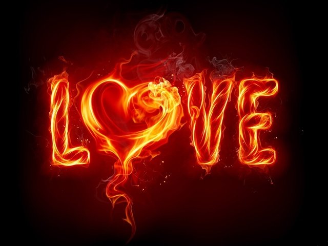 Обои огонь, сердце, любовь, fire, heart, love разрешение 2560x1440 Загрузить
