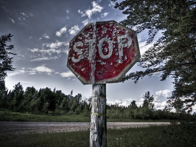 Обои деревья, знак, стоп, дырки, затоп, trees, sign, stop, holes разрешение 1920x1200 Загрузить