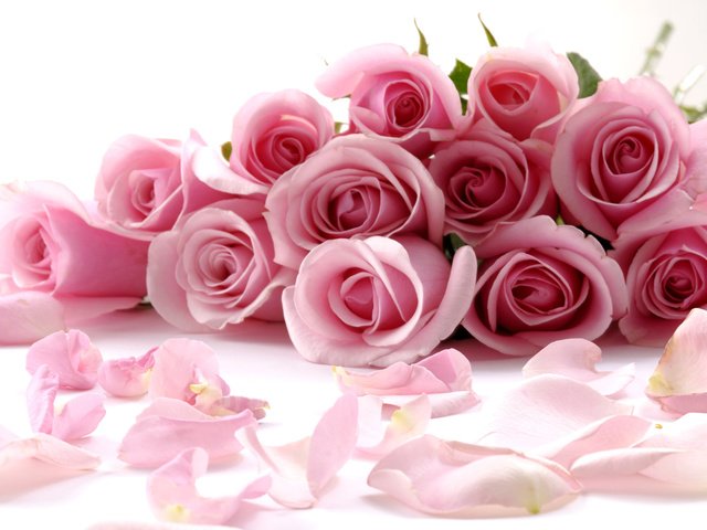 Обои цветы, бутоны, розы, лепестки, букет, розовый, flowers, buds, roses, petals, bouquet, pink разрешение 2560x1600 Загрузить