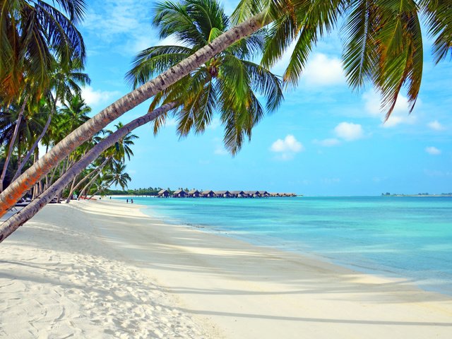 Обои море, пляж, отдых, тропики, мальдивы, sea, beach, stay, tropics, the maldives разрешение 4894x3212 Загрузить