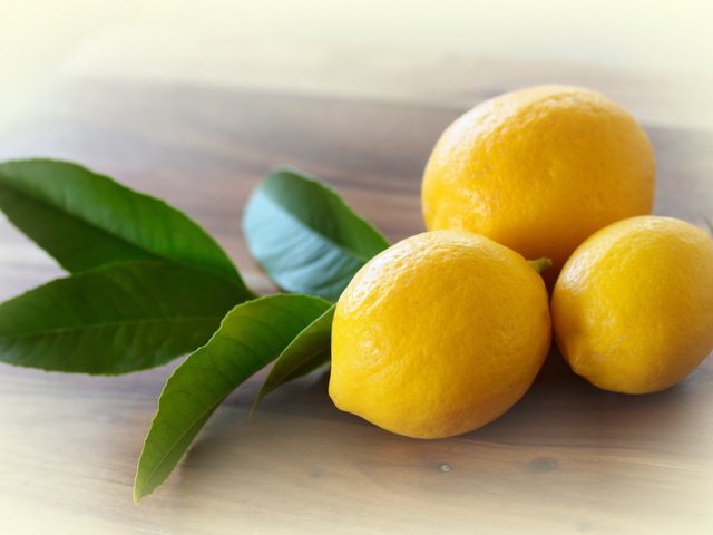 Обои макро, фрукты, цитрус, листики, лимоны, macro, fruit, citrus, leaves, lemons разрешение 2560x1600 Загрузить