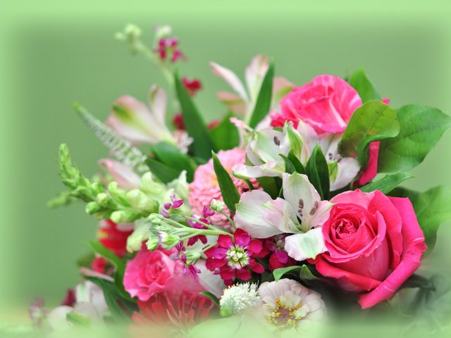 Обои цветы, фон, букет, flowers, background, bouquet разрешение 2048x1360 Загрузить