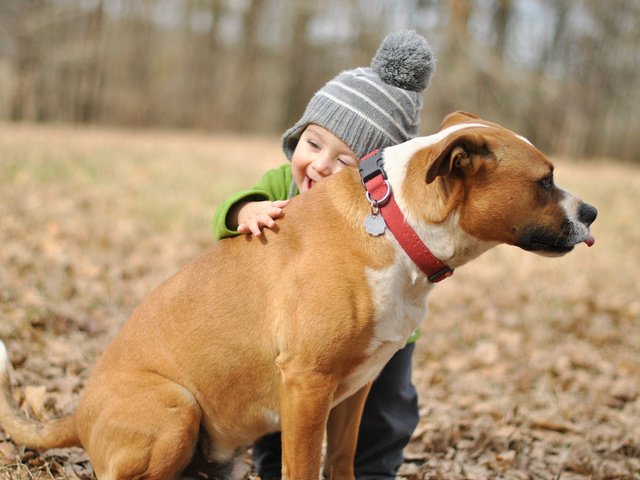 Обои настроение, собака, радость, ребенок, мальчик, друг, mood, dog, joy, child, boy, each разрешение 1920x1200 Загрузить