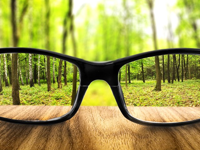 Обои земля, лес, очки, бокалы, увеличение, землей, earth, forest, glasses, increase, land разрешение 2936x1582 Загрузить