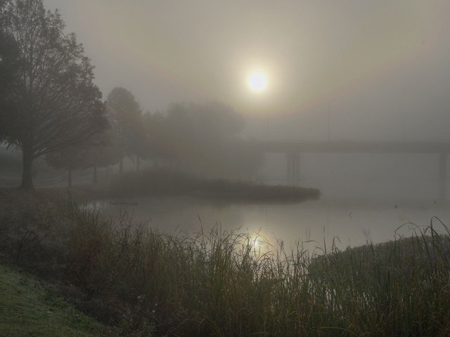 Обои трава, деревья, вода, пейзаж, туман, мост, дымка, grass, trees, water, landscape, fog, bridge, haze разрешение 2560x1600 Загрузить