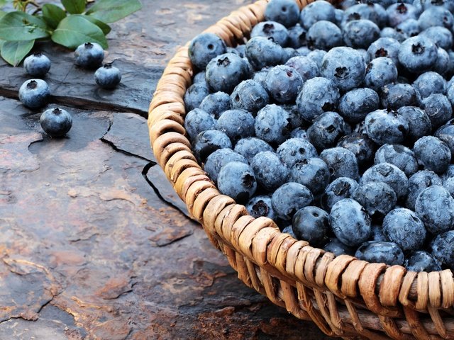 Обои ягоды, лесные ягоды, черника, корзинка, дерева, голубика, парное, черничный, berries, blueberries, basket, wood, fresh, blueberry разрешение 5184x3456 Загрузить