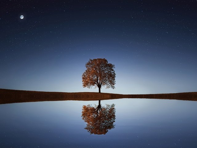 Обои небо,     дерево, ночь, вода, озеро, дерево, отражение, звезды, горизонт, the sky, night, water, lake, tree, reflection, stars, horizon разрешение 1920x1278 Загрузить
