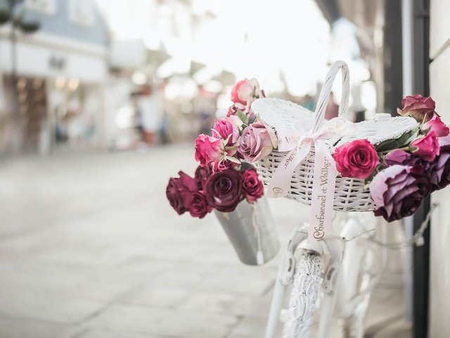 Обои цветы, розы, улица, велосипед, корзинка, flowers, roses, street, bike, basket разрешение 2500x1733 Загрузить