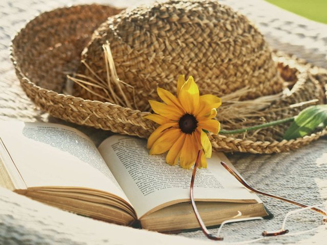 Обои цветок, лето, очки, книга, шляпа, sandra cunningham, flower, summer, glasses, book, hat разрешение 1920x1200 Загрузить