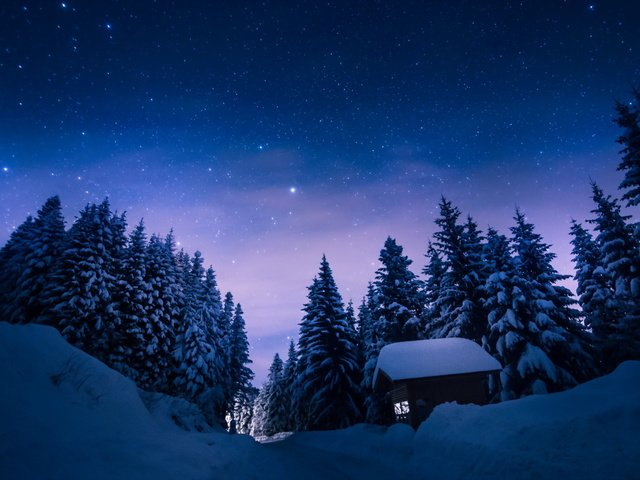 Обои небо, снегопад, деревья, снег, лес, зима, звезды, сосны, домик, the sky, snowfall, trees, snow, forest, winter, stars, pine, house разрешение 2560x1600 Загрузить