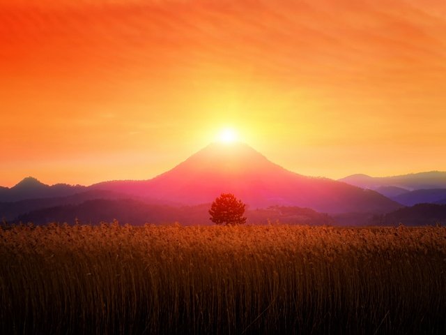 Обои небо, горы, солнце, растения, закат, the sky, mountains, the sun, plants, sunset разрешение 2500x1569 Загрузить