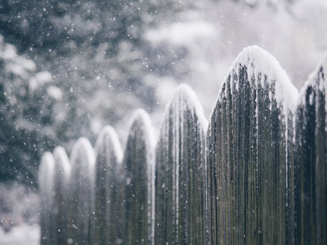 Обои снег, зима, макро, забор, snow, winter, macro, the fence разрешение 3840x2400 Загрузить