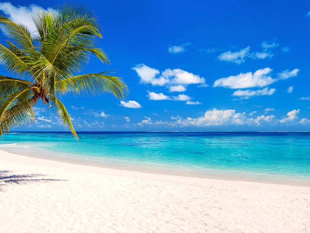 Обои море, пляж, тропики, 8, sea, beach, tropics разрешение 6400x3200 Загрузить