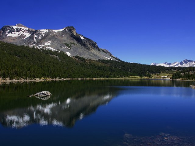 Обои деревья, озеро, горы, калифорния, йосемити, озеро тиога, tioga lake, trees, lake, mountains, ca, yosemite разрешение 1920x1080 Загрузить