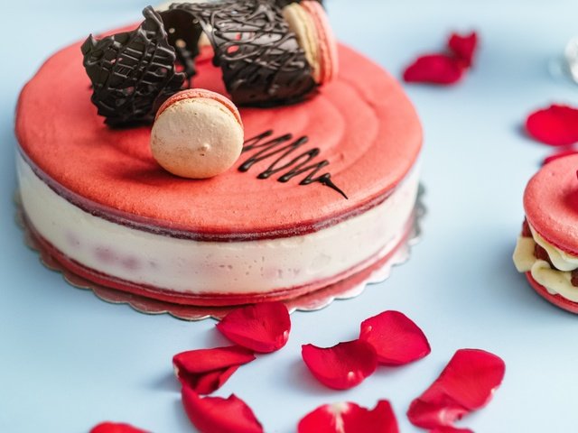 Обои лепестки, сладкое, торт, десерт, petals, sweet, cake, dessert разрешение 3600x2400 Загрузить