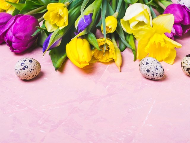 Обои тюльпаны, пасха, яйца, tulips, easter, eggs разрешение 4608x3072 Загрузить