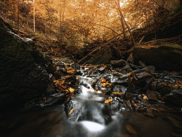 Обои река, природа, осень, river, nature, autumn разрешение 3840x2160 Загрузить