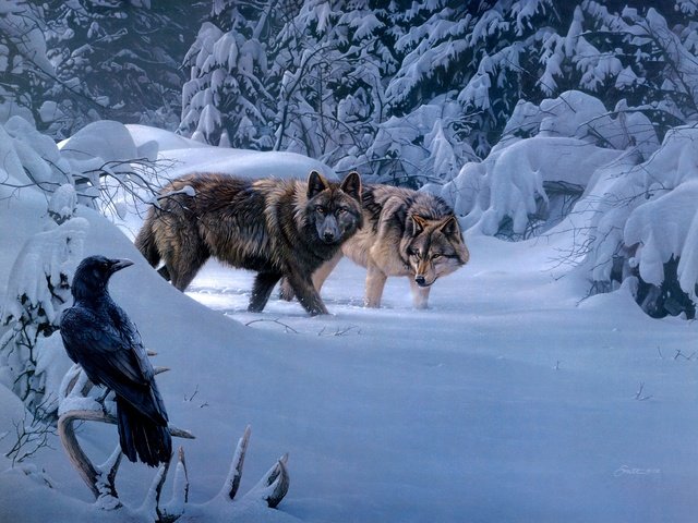 Обои зима, птица, ворон, волки, daniel smith, winter, bird, raven, wolves разрешение 3692x2484 Загрузить