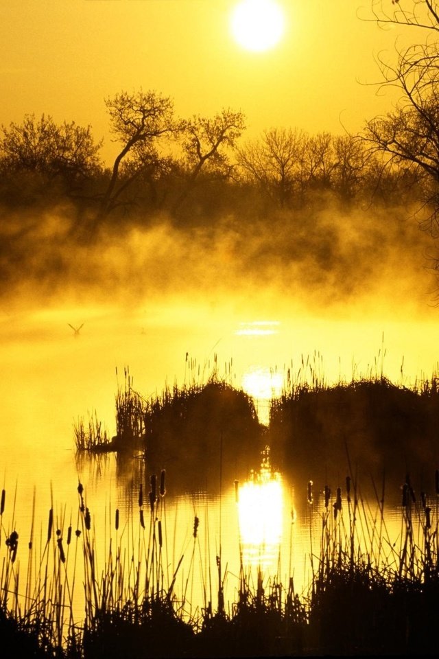 Обои восход, солнце, болото, sunrise, the sun, swamp разрешение 1999x1333 Загрузить