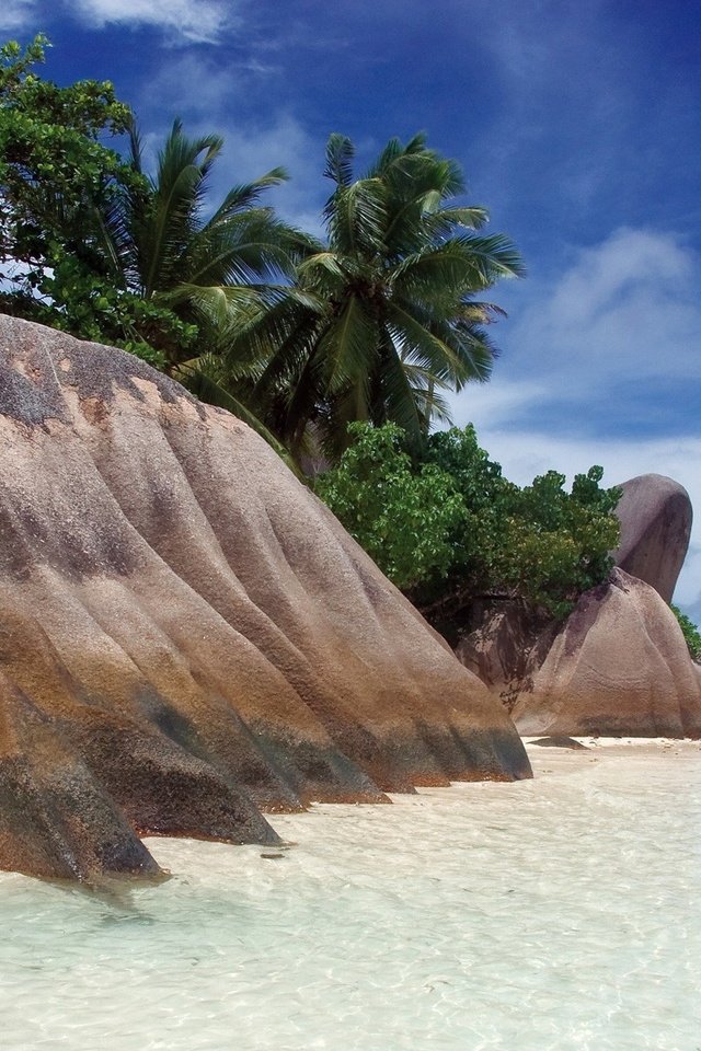 Обои камни, берег, пляж, пальмы, тропики, сейшелы, stones, shore, beach, palm trees, tropics, seychelles разрешение 1920x1200 Загрузить