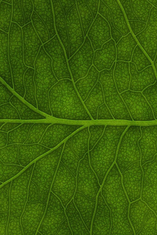 Обои зелёный, лист, green, sheet разрешение 3840x1200 Загрузить