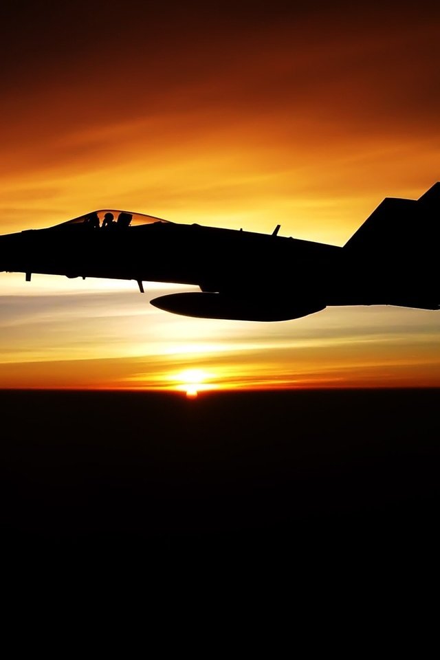 Обои солнце, закат, самолет, полет, истребитель, the sun, sunset, the plane, flight, fighter разрешение 2560x1600 Загрузить