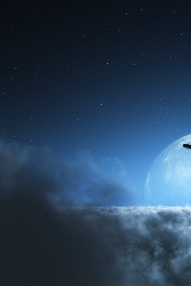 Обои облака, звезды, луна, птица, clouds, stars, the moon, bird разрешение 1920x1200 Загрузить