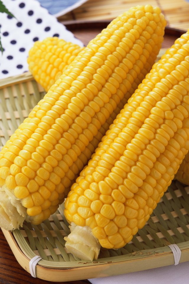 Обои желтый, еда, цвет, кукуруза, вкусно, злак, полезно, yellow, food, color, corn, delicious, cereal, useful разрешение 1920x1200 Загрузить