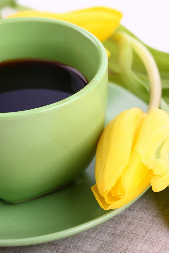Обои кофе, тюльпаны, чашка, coffee, tulips, cup разрешение 2880x1800 Загрузить