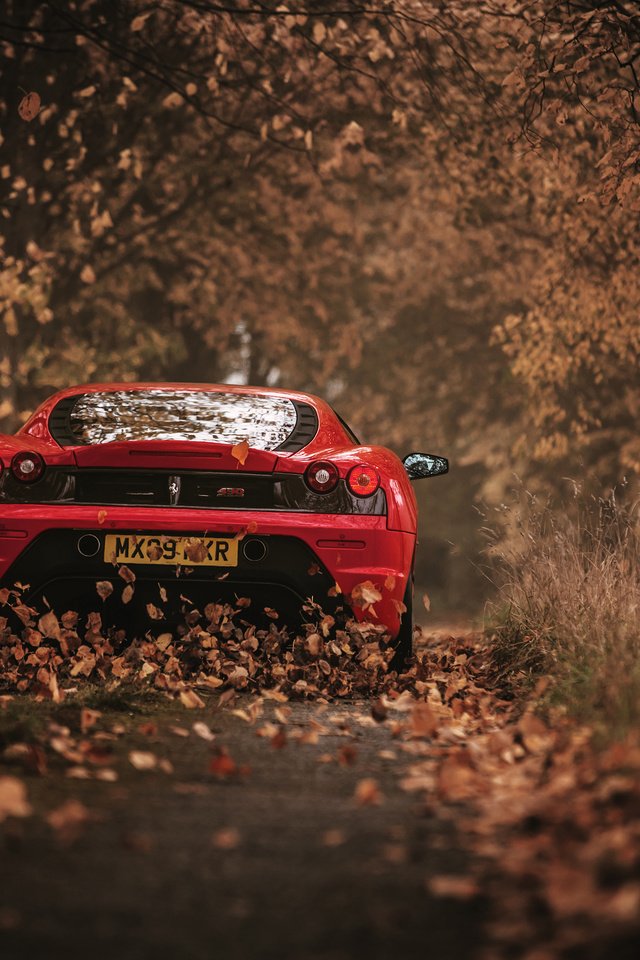 Обои листья, осень, красный, автомобиль, феррари, 430 scuderia, leaves, autumn, red, car, ferrari разрешение 3000x2002 Загрузить