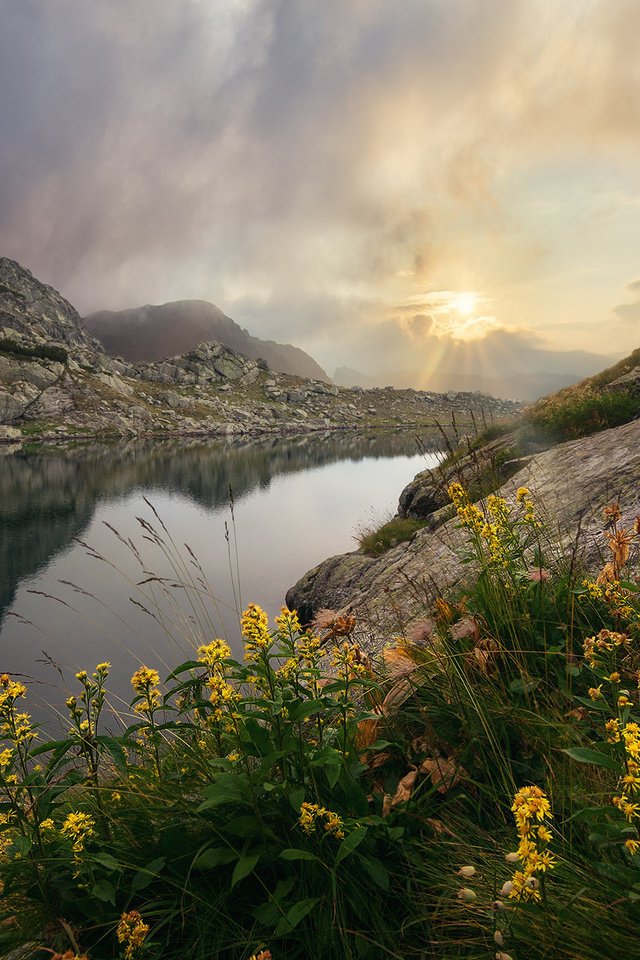 Обои цветы, озеро, горы, скалы, камни, flowers, lake, mountains, rocks, stones разрешение 2000x1333 Загрузить