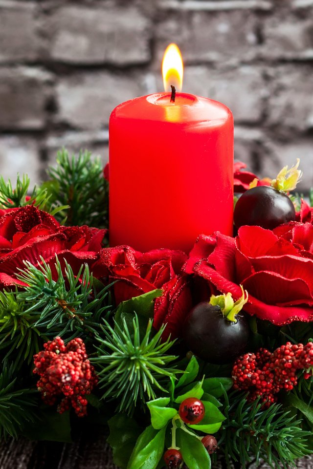 Обои цветы, елка, свеча, рождество, краcный, красное,  цветы, елочная, flowers, tree, candle, christmas, red разрешение 4140x2868 Загрузить