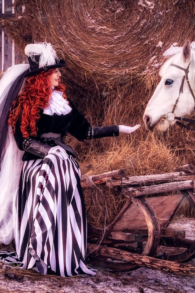 Обои лошадь, вуаль, снег, дама, девушка, барышня, сено, рыжая, волосы, наряд, конь, шляпа, hat, horse, veil, snow, lady, girl, hay, red, hair, outfit разрешение 2100x1357 Загрузить