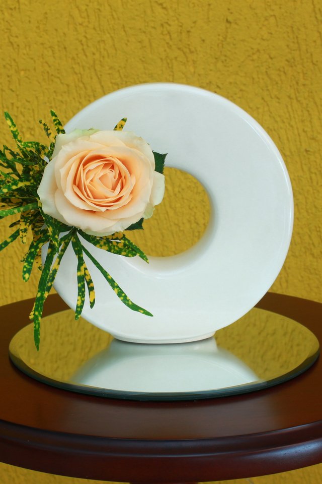 Обои роза, бутон, композиция, икебана, rose, bud, composition, ikebana разрешение 4752x3067 Загрузить