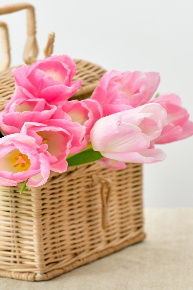 Обои цветы, букет, корзина, тюльпаны, тульпаны,  цветы, pink-tulips-flowers-bouquet.jpg pink, flowers, bouquet, basket, tulips разрешение 4585x3057 Загрузить