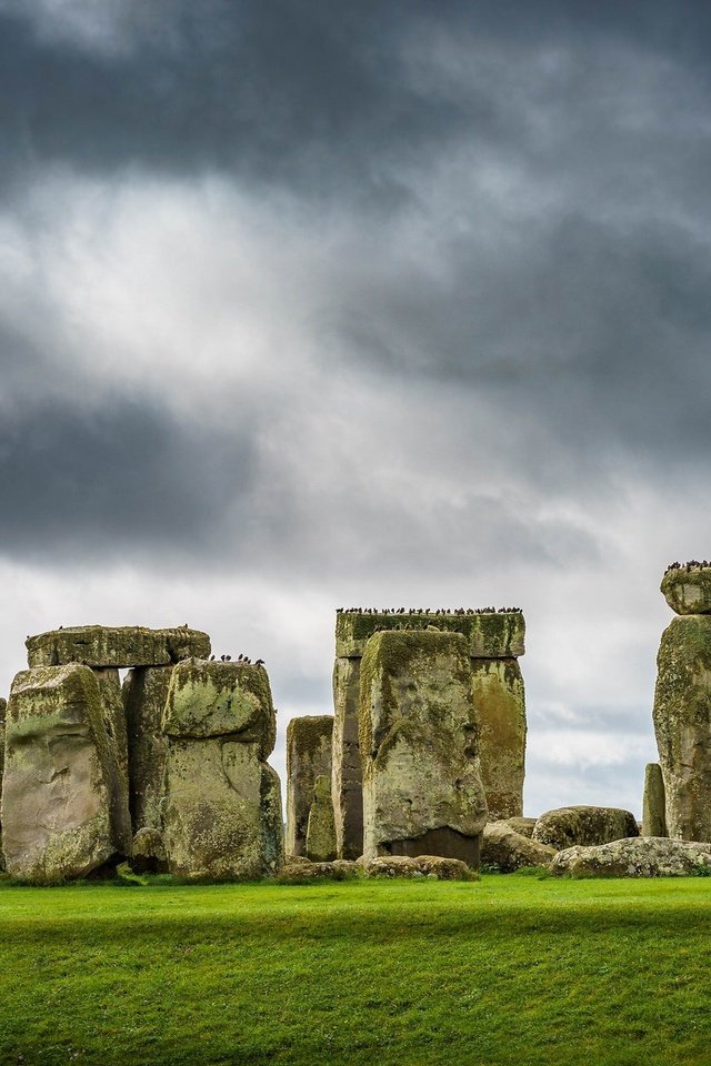 Обои небо, трава, камни, птицы, англия, стоунхендж, the sky, grass, stones, birds, england, stonehenge разрешение 2048x1185 Загрузить