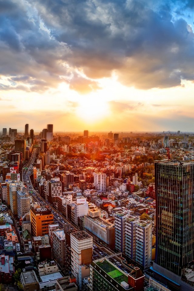 Обои дорога, закат, панорама, япония, здания, токио, road, sunset, panorama, japan, building, tokyo разрешение 5120x2880 Загрузить