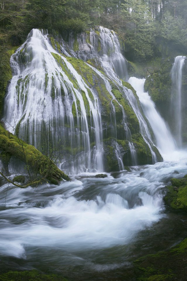 Обои деревья, вода, река, природа, лес, пейзаж, водопад, мох, trees, water, river, nature, forest, landscape, waterfall, moss разрешение 2560x1600 Загрузить