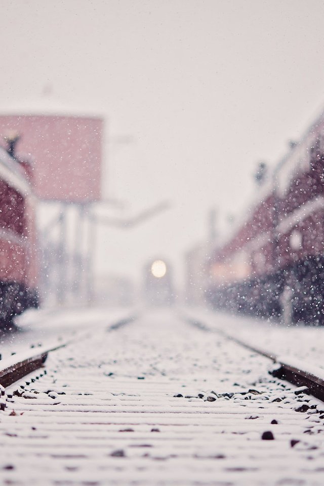 Обои снег, железная дорога, рельсы, зима, поезда, поезд, снегопад, snow, railroad, rails, winter, trains, train, snowfall разрешение 1920x1200 Загрузить