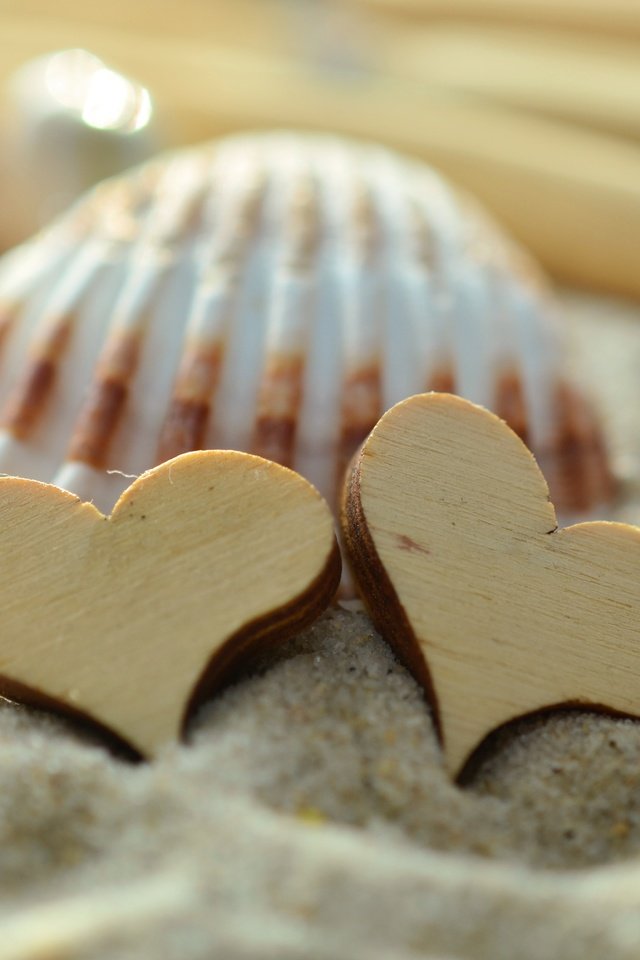 Обои песок, сердце, сердечки, ракушка, sand, heart, hearts, shell разрешение 4928x3264 Загрузить