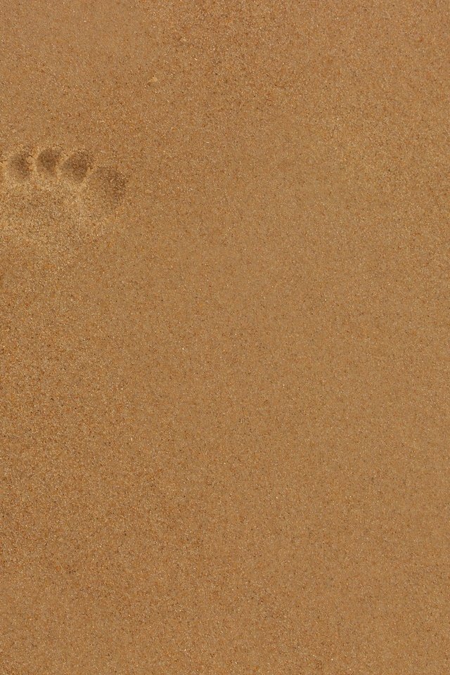 Обои песок, пляж, след, отпечаток, sand, beach, trail, imprint разрешение 2048x1365 Загрузить