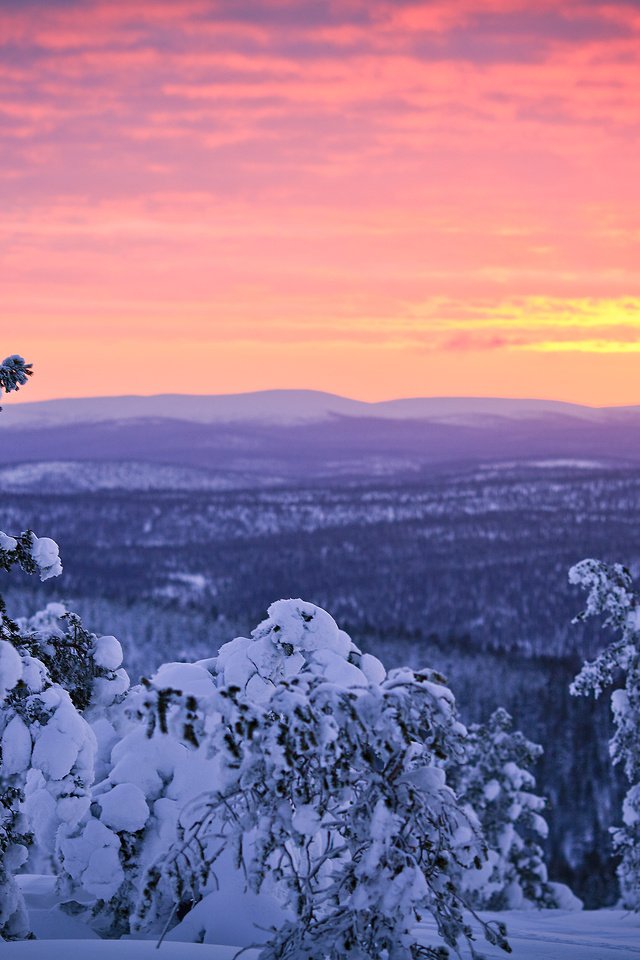 Обои небо, деревья, снег, лес, закат, зима, финляндия, лапландия, the sky, trees, snow, forest, sunset, winter, finland, lapland разрешение 2800x1867 Загрузить