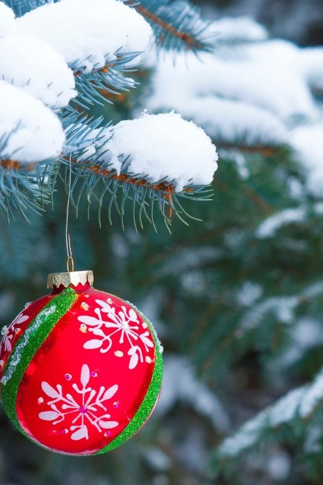 Обои снег, новый год, елка, хвоя, шар, рождество, елочная игрушка, snow, new year, tree, needles, ball, christmas, christmas toy разрешение 1920x1200 Загрузить