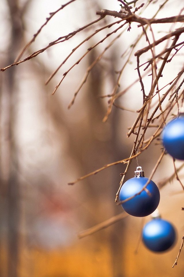 Обои новый год, шары, ветки, рождество, new year, balls, branches, christmas разрешение 1920x1200 Загрузить
