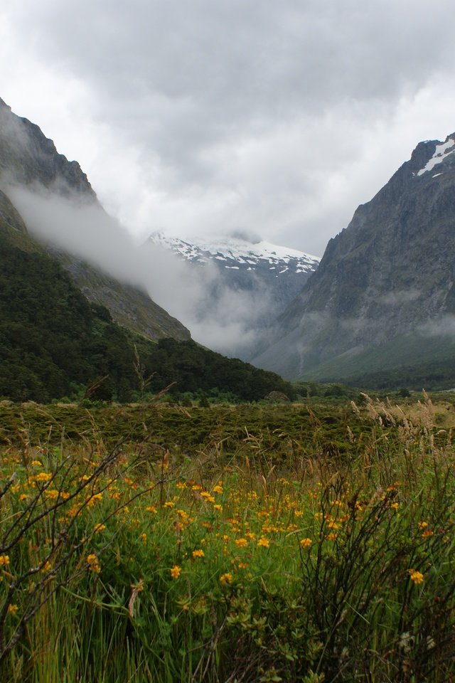 Обои горы, растения, пейзаж, туман, mountains, plants, landscape, fog разрешение 4592x3056 Загрузить